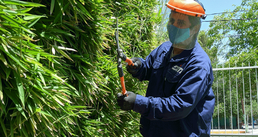 IMG_20201118_144115sdd